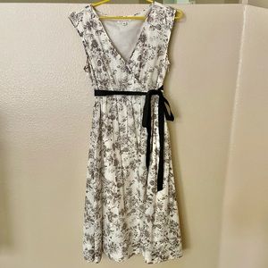 Banana Republic Toile Dress